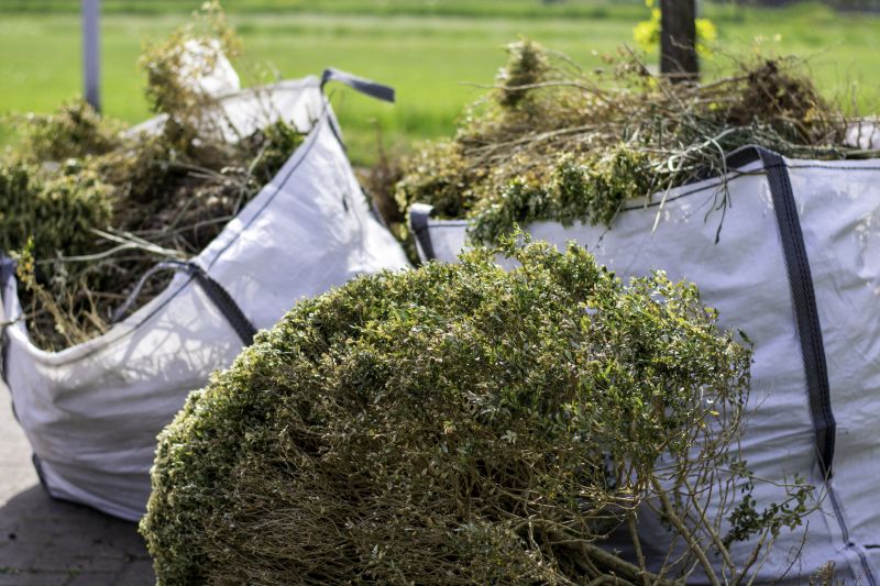 Brush Clearing Service in Utah County, UT