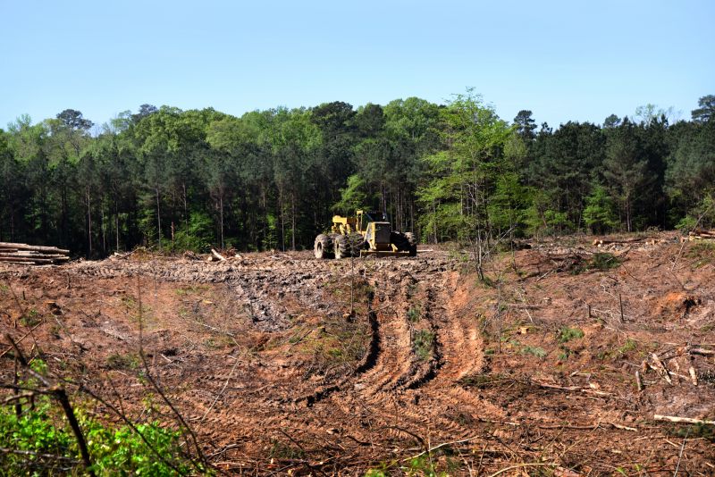 Bulldozer Clearing in Gwinnett County, GA