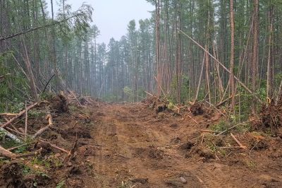Commercial Lot Clearing in Cumming, GA
