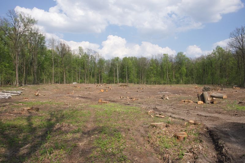 Farm Clearing in Houston, TX