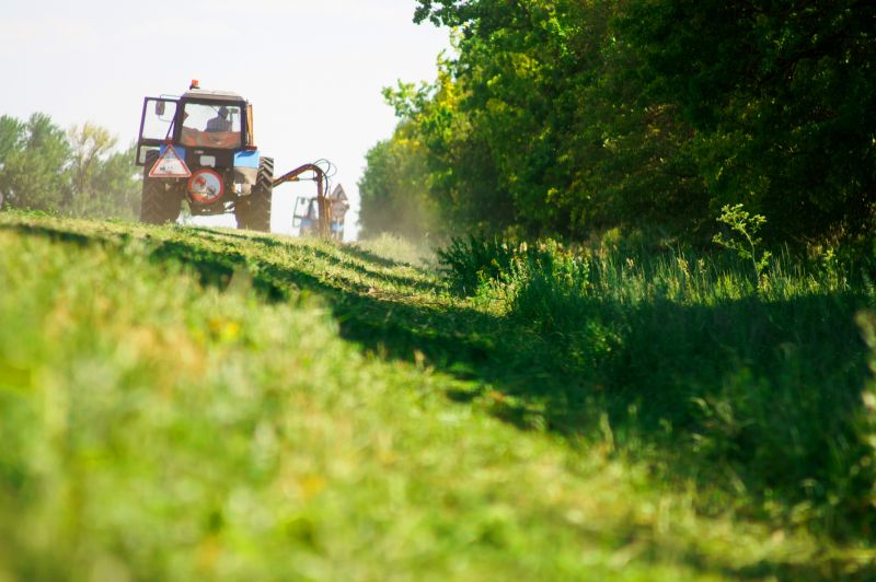 Farm Clearing in Gwinnett County, GA