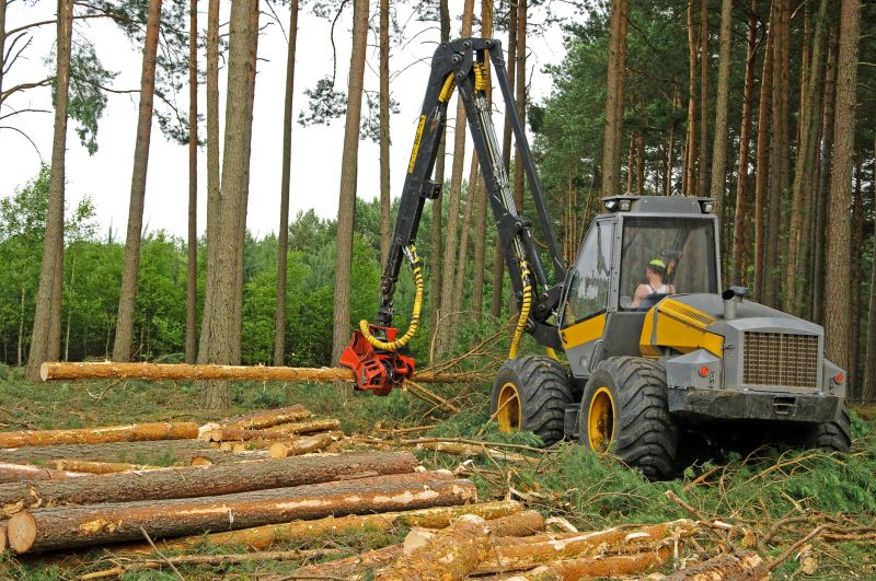 Forestry Clearing in Gwinnett County, GA