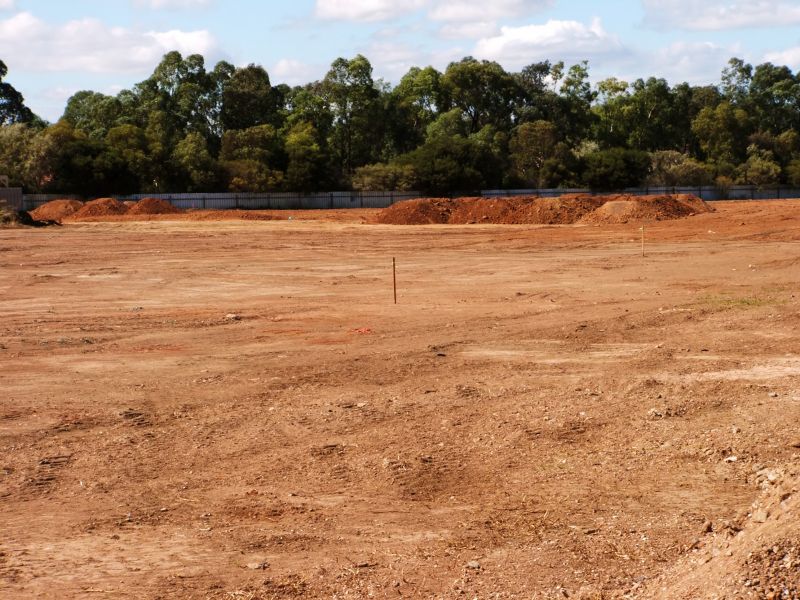 Clearing for Agricultural Use