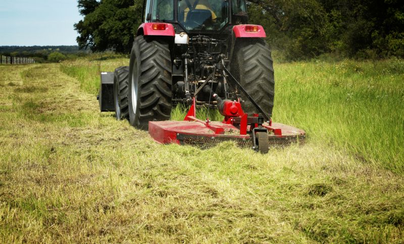 Pasture Clearing in Utah County, UT