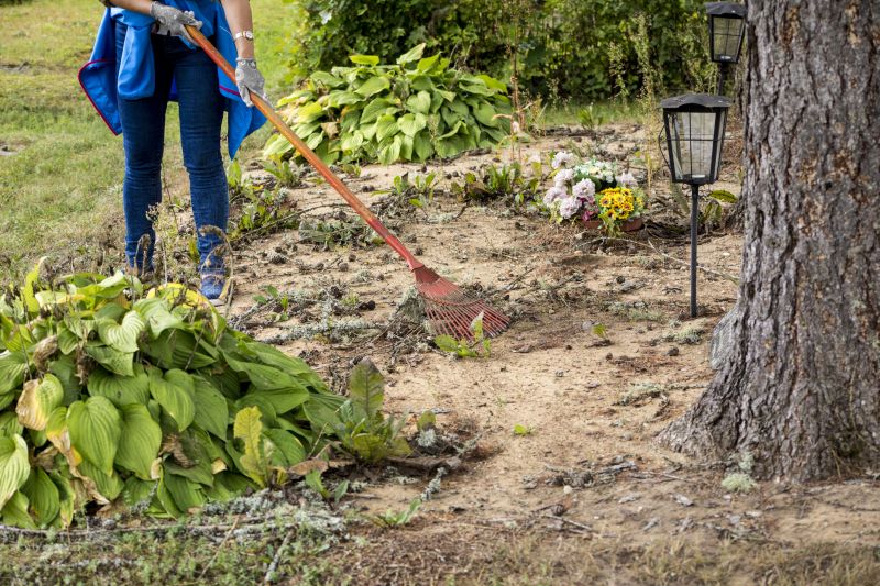 Site Cleaning in Utah County, UT