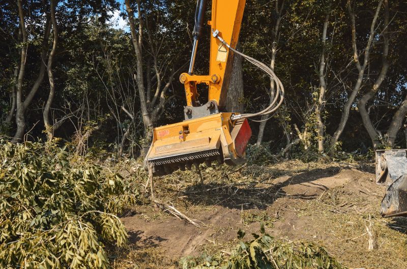 Underbrush Clearing in Utah County, UT
