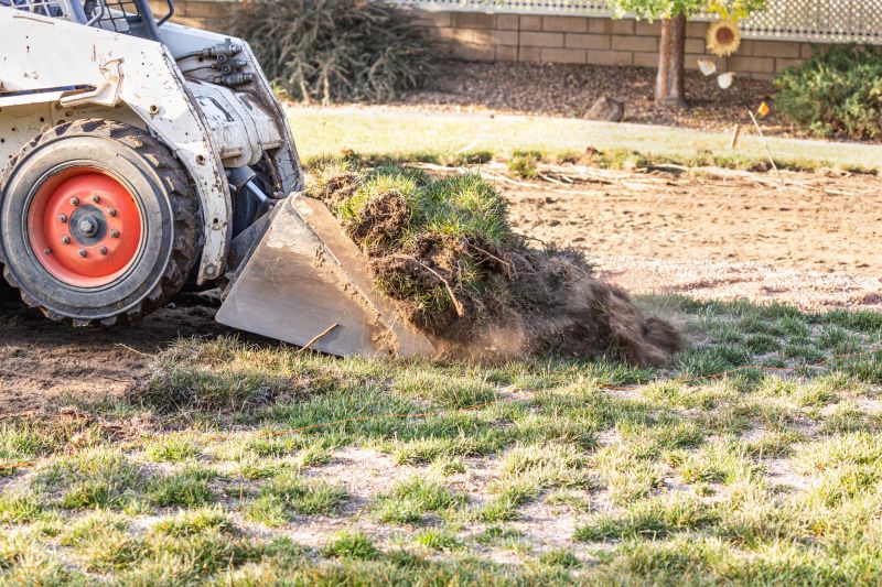 Clears debris and vegetation